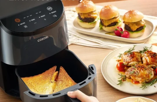 Air Fryer vs. Convection Oven