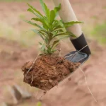 Small Hoe for Digging Soil Durable Hoe Agricultural Hoe Household Outdoor Farming Tools for Planting Vegetables and Flowers