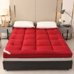 Students Dormitory Down Mattress thickened home single bed double foldable soft Mat Hotel special cushion quilt Tatami Mattress