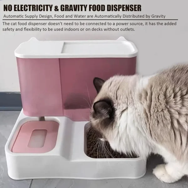 Cat Feeder Automatic Pet Feeder Large Capacity Food Dispenser Dry Wet Separation Water Bowl BPA Free Material Top Rated